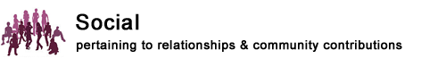 Social - pertaining to relationships and community contributions
